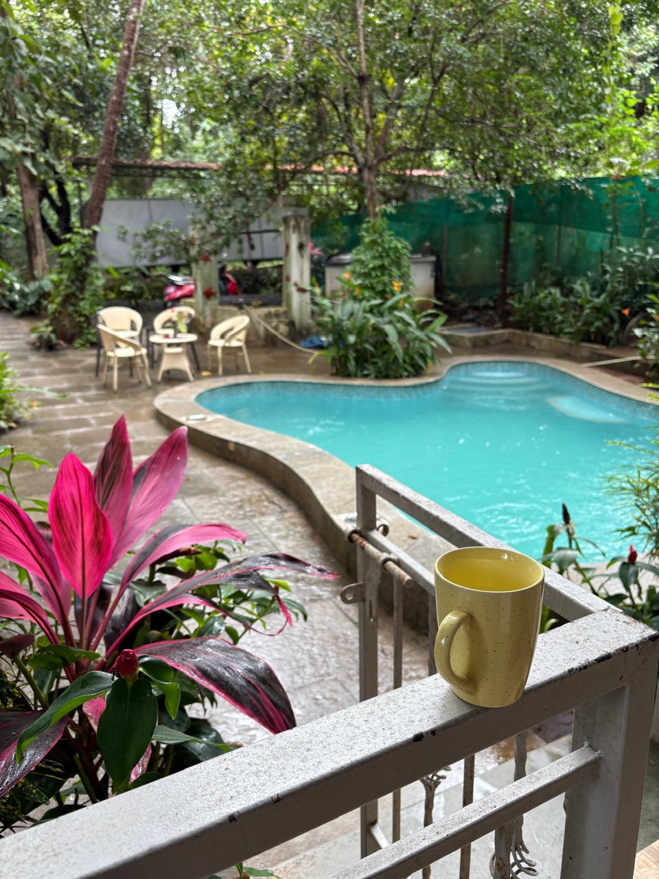 A cup of coffee overlooking a garden pool on a rainy morning