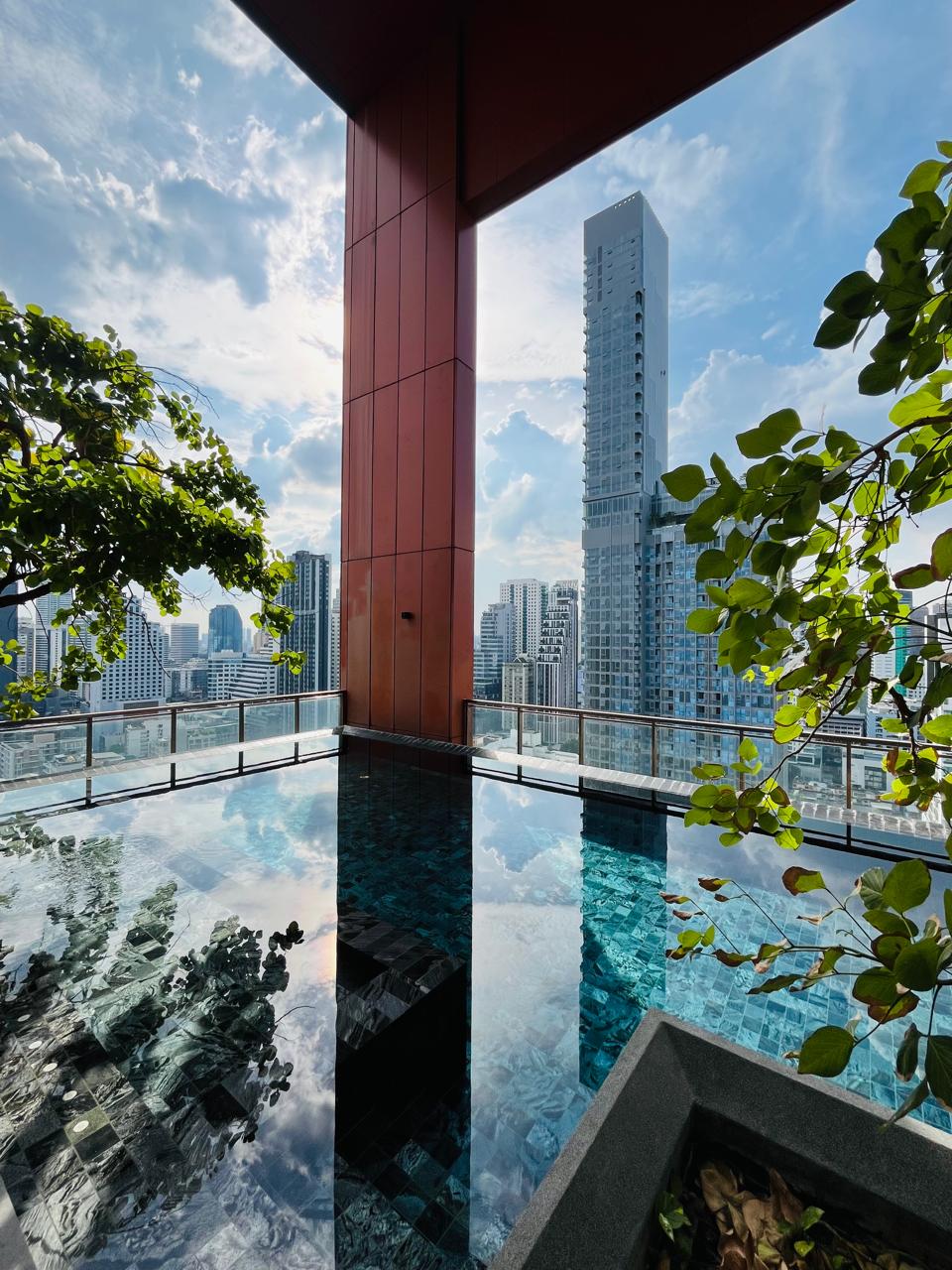 A reflective rooftop pool framed by trees and the city skyline